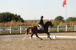 SBM_007054
