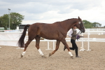 SBM_06946