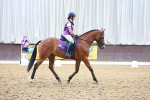 SBM_009028
