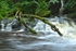 20120630-_MG_9076-1238