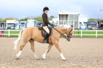 SBM_00306
