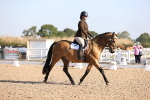 SBM_01669