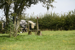 WJ6_8386