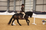 Class 114c - PoY Ridden portfolio