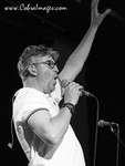 AF0I0042bw