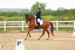 SBM_006321