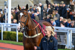 241025-Race 3-King William Rufus-2996
