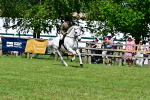 SBM_08045