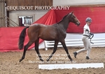 BPP_1443