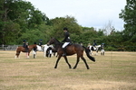 WJ6_3968