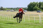 080726-Race 5-Sugarpiehoneybunch-7565
