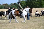 WJ7_2684