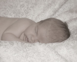 Ella portfolio