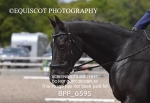 BPP_6595