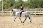SBM_003356