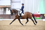 SBM_010338