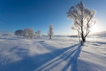 Rannoch Moor, Highland_1