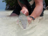 Head On Bonefish 2010.