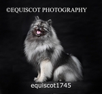 equiscot1745