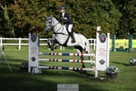 401-SASSY.BIRD-Jemima.Haslam-TrotUp+SJ portfolio