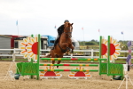 SBM_009393