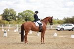 SBM_009427