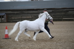 SBM_003959