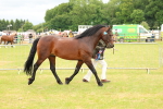SBM_03561