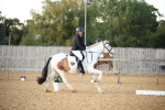 SBM_31557