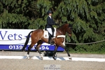 179-JARSON-Charlotte_Agnew-WEDTrotUp+DR portfolio