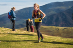 Sale Fell-317