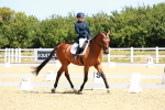 SBM_009831