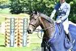230707-112239-06652_Cls 12 Foxhunter  120m Open