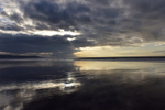 ACP_8908-1
