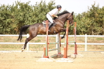 SBM_001242