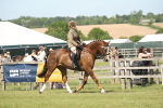 SBM_09149