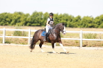 SBM_000946
