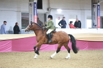 SBM_08950