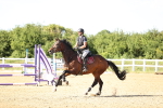 SBM_005387