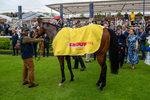160524-Race 1-Clarendon House-7745