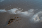 Forlorn 2