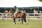 SBM_09227