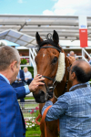 290723-Race 1-Soul Seeker-0345