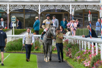 270724-Race 4-Greydreambeliever-7314