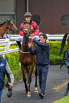 110526-Race 2-Zarvali-0478