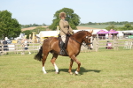 SBM_09667