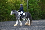 WJ5_9090