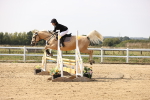 SBM_003097
