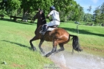 308-COOLEY_ANYTHING_YOU_LIKE-Harry_Meade portfolio