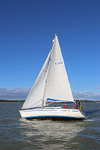 141025 PETAL K1481 WT7A9530